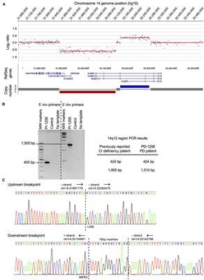 Loss-of-Function NUBPL Mutation May Link Parkinson's Disease to Recessive Complex I Deficiency